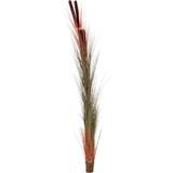 Europalms Reed grass with cattails, light-brown, artificial Kunstig plante