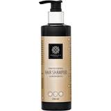 Shampooer Formula H Skincare Hair Shampoo Prof 250ml