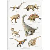 Papir Brugskunst Koustrup & Co. A2: Dinosaur Plakat