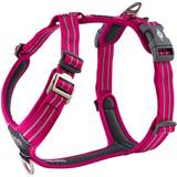 Dog Copenhagen Walk Air™ Sele XL Wild Rose