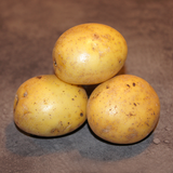Læggekartofler Solist læggekartofler - 1,5 kg.