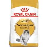 Royal Canin Katte - Led & Mobilitet Kæledyr Royal Canin Norwegian Forest Cat 10kg