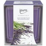 Duftlys IPURO Room fragrances Essentials Lavender Touch Duftlys