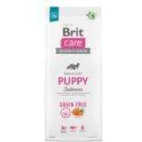 Brit Care Hunde Kæledyr Brit Care unga hundar av raser veckor 12 Dog Grain-Free Puppy Salmon