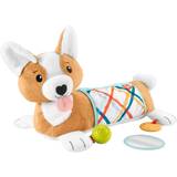 Hunde - Plastlegetøj Babylegetøj Fisher Price 3 in 1 Puppy Tummy Wedge