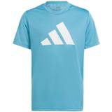 Turkis T-shirts adidas Train Essentials Aeroready Logo Regularfit Tshirt