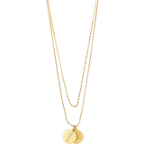 Pilgrim Casey Coin Pendant Necklace - Gold/Transparent