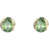 Swarovski Dame Øreringe Swarovski Stilla Stud Earrings - Gold/Green