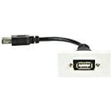 Fonetik pilfer bånd AV Link USB-A 2.0 vægdåse (2 butikker) • PriceRunner »