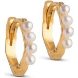 Perler Smykker ENAMEL Copenhagen Paula Hoops Earrings 10mm - Gold/Pearls