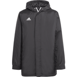 Polyester Overtøj adidas ENT22 Stadium Jacket - Black
