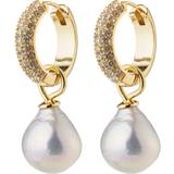 Pilgrim Perler Smykker Pilgrim Edele Earrings - Gold/Pearl/Transparent
