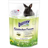 Bunny Kanin Kæledyr Bunny Rabbit Dream Oral 1,5