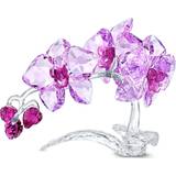 Krystal - Lilla Dekorationsfigurer Swarovski Crystal Flowers Orchid Dekorationsfigur