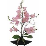 Lilla Kunstige planter Europalms Orchid arrangement EVA, artificial, purple Kunstig plante