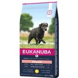 Eukanuba C-vitaminer Kæledyr Eukanuba Caring Senior Large Breed Chicken Dog Dry Food 15kg