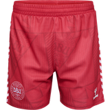 Bukser & Shorts Hummel Denmark Home Shorts 2023/24