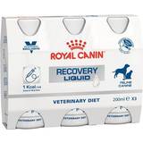 Royal Canin Mælk Kæledyr Royal Canin Recovery Liquid 3x200ml