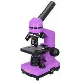 Mikroskop & Teleskop Levenhuk PT Rainbow 2L Amethystmikroskop [Levering: 4-5 dage]