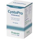 Protexin Kæledyr Protexin CystoPro 120 capsules