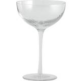 Grøn Cocktailglas Nordal Garo Cocktailglas