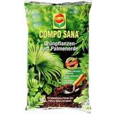 Compo Krukker, Planter & Dyrkning Compo Sana® Grünpflanzen- Palmenerde