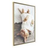 Artgeist Poster Lazy Cat [] Bild