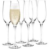 Holmegaard Hvidvinsglas Vinglas Holmegaard Cabernet Champagneglas 29cl 6stk