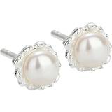 Aqua Dulce Stud Earrings - Silver/Pearl
