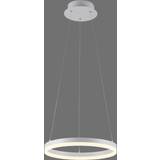Paul Neuhaus LED-belysning Lamper Paul Neuhaus Titus LED-hængelampe Pendel 40cm