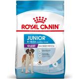 Giant (> 45 kg) - Tørfoder Kæledyr Royal Canin Giant Junior 15kg