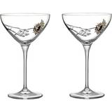 Med fod - Sara Woodrow Glas Kosta Boda All about you coupe Champagneglas 32cl 2stk