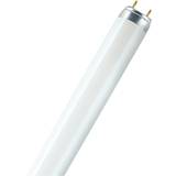 Kølige hvide Lysstofrør Osram Lumilux L Fluorescent Lamp 36W G13