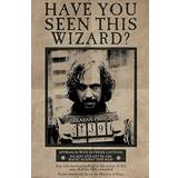 Pyramid International Harry Potter Wanted Sirius Plakat 61x91.5cm