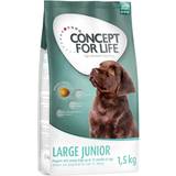 Concept for Life Kæledyr Concept for Life 4x1,5kg Large Junior hundefoder
