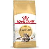 Tørfoder Kæledyr Royal Canin Maine Coon Adult Kattemad 10kg