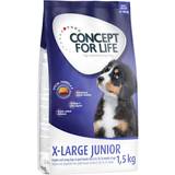 Concept for Life Hunde Kæledyr Concept for Life 1,5 X-Large Junior