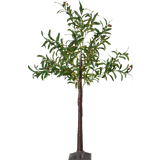 Brun Juletræer Star Trading Gartenbeleuchtung, Dekorationsbaum Olivec, 108 LEDs Weihnachtsbaum