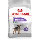 Mini (1-10 kg) Kæledyr Royal Canin Mini Sterilised 8kg