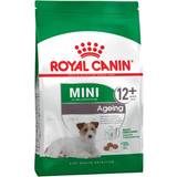 Royal Canin Kyllinger - Tørfoder Kæledyr Royal Canin Mini Ageing 12+ 3.5kg