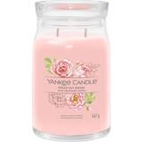 Yankee Candle Rumdufte stearinlys Fresh Cut Roses 567 Duftlys