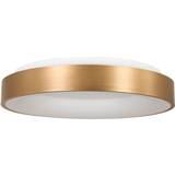 Steinhauer Sienna Ring Sled Cylindrical Pendant Lamp