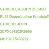 Striebel & John UPS Striebel & John Doppelbuchse, Netzwerk Zubehör