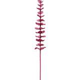 Rød Kunstige planter Europalms Krystal Eukalyptus. Bordeaux. 81 Cm. Kunstig plante