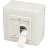 Backbox LogiLink Cat.6A wall outlet 2 x RJ45 shielded with backbox pure white Fjernlager, 3 dages levering