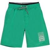 Molo Neal Badbyxor Surf Green 158/164 Grøn