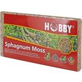 JBL Aquaristik Hobby 34170 Spaghnum Moss, tropisches