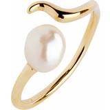 Perler Ringe Maria Black Moonshine Ring - Gold/Pearl