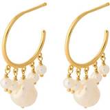 Perler Smykker Pernille Corydon Bay Hoops Earrings - Gold/Pearls