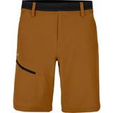 Guld - Polyamid Bukser & Shorts Salewa Puez Durastretch Shorts - Beige/Golden Brown